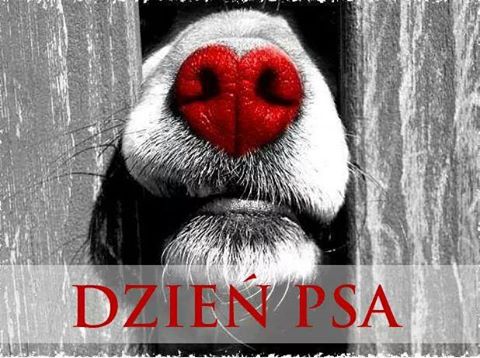 DZIEŃ PSA